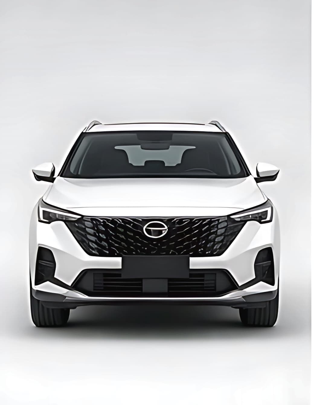 2024 GAC Emzoom