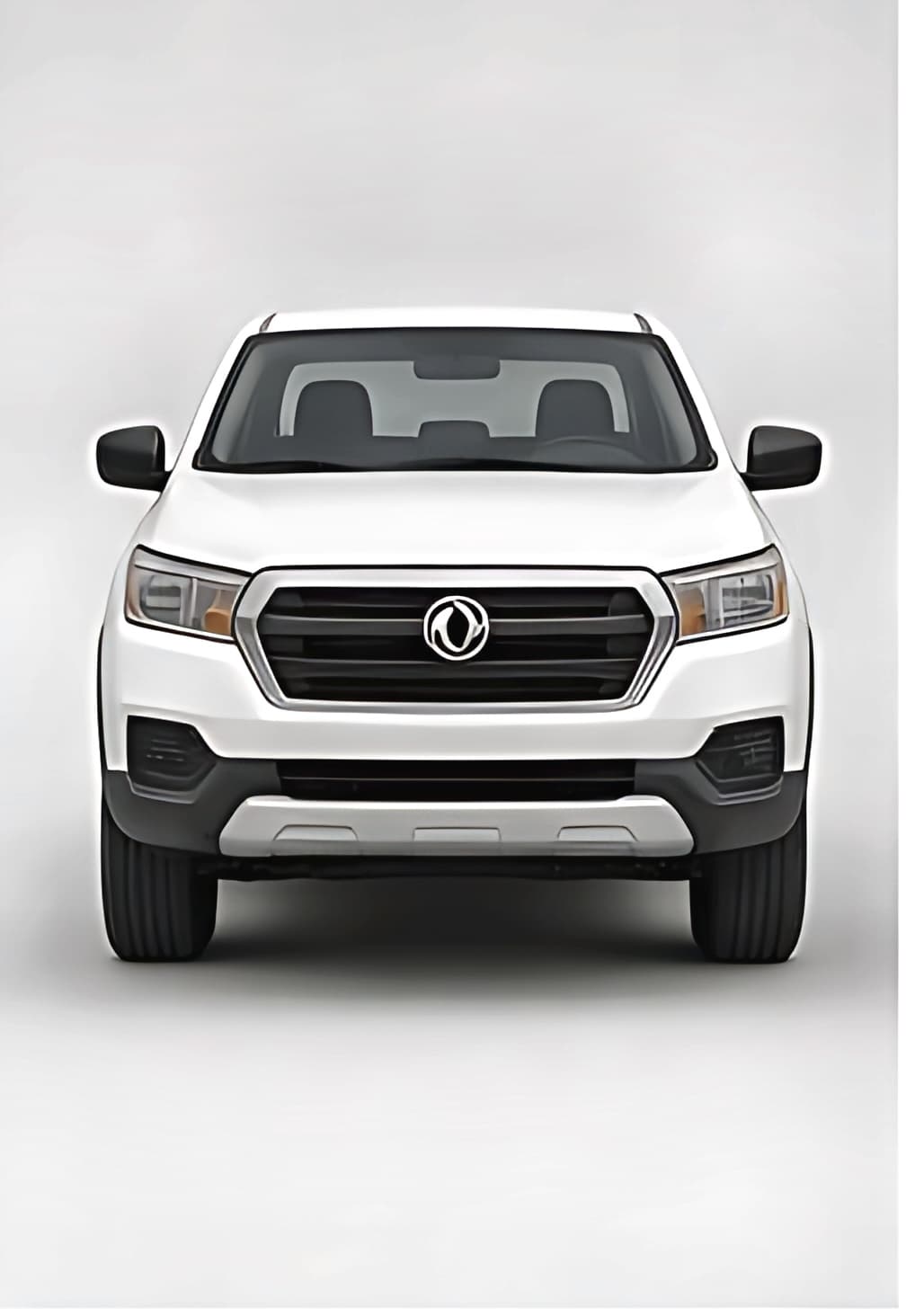 2024 Dongfeng Rich 6