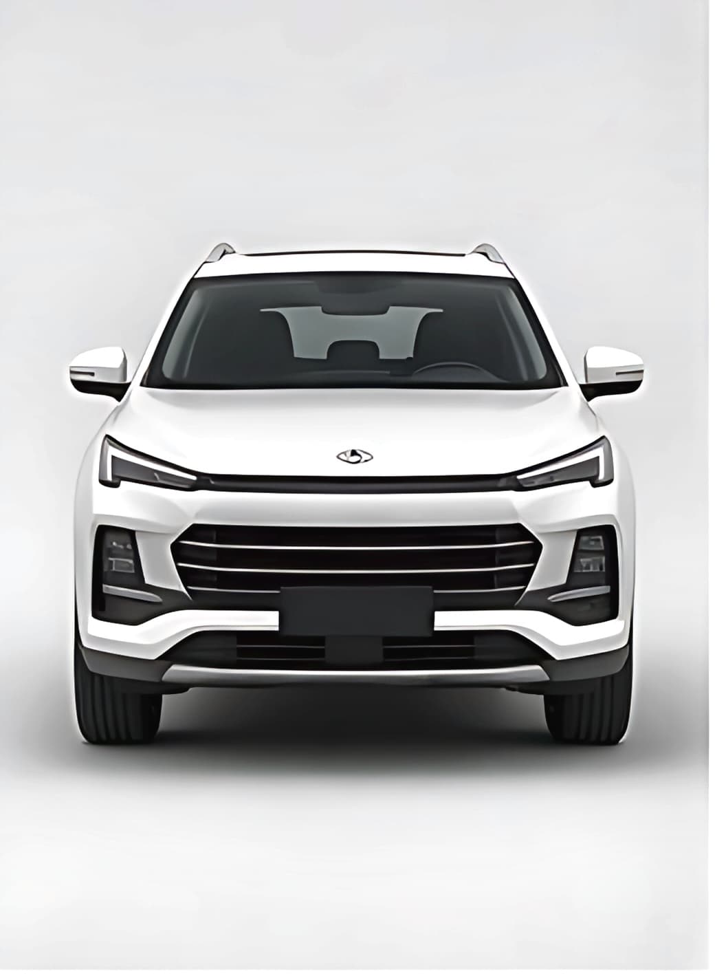 2024 JAC JS4