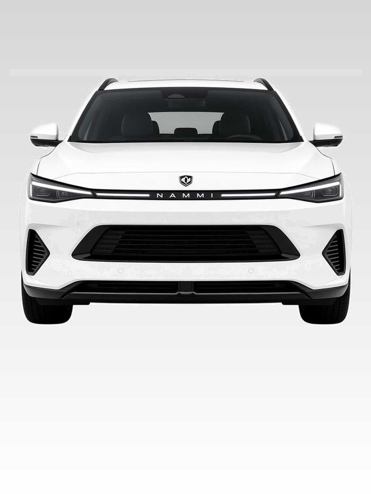2024 Dongfeng Nammi 01