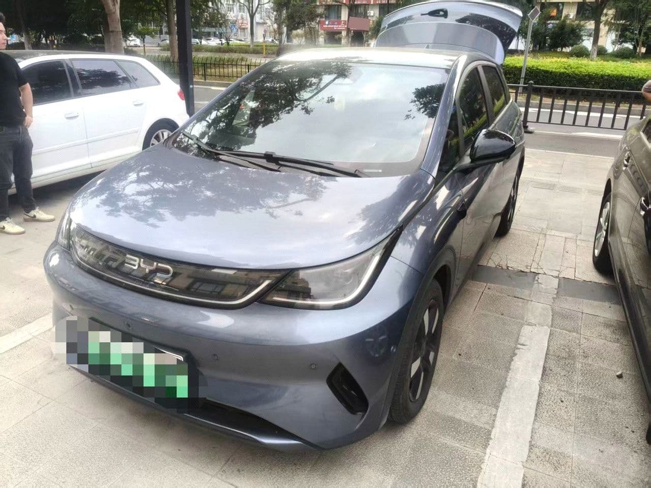 2025 BYD Dolphin